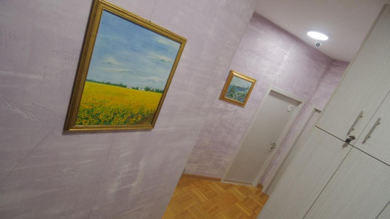 Stella Di Notte Vip Hostel Βελιγράδι Εξωτερικό φωτογραφία