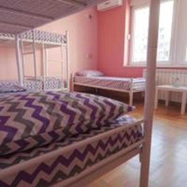 Stella Di Notte Vip Hostel Βελιγράδι Εξωτερικό φωτογραφία